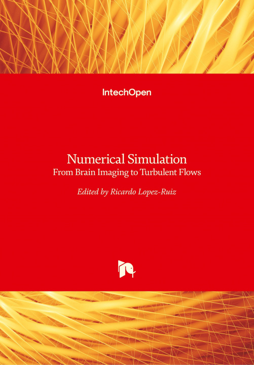 Carte Numerical Simulation Ricardo Lopez-Ruiz