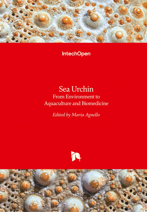 Knjiga Sea Urchin Maria Agnello