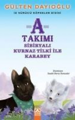 Livre A Takimi Gülten Dayioglu