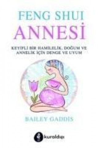 Livre Feng Shui Annesi Bailey Gaddis