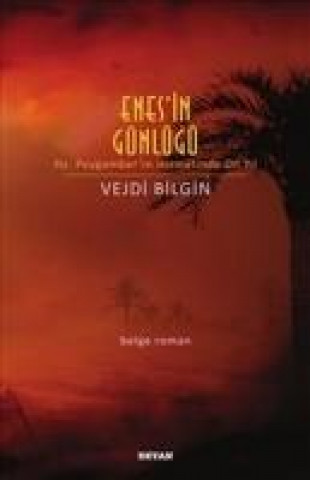 Buch Enesin Günlügü Vejdi Bilgin