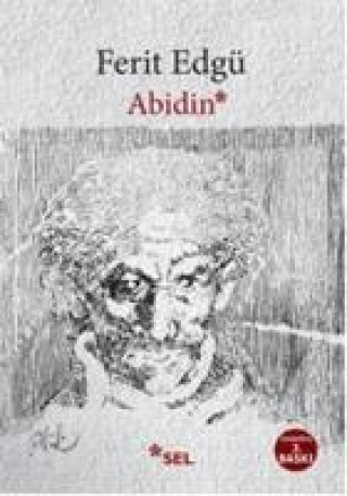 Kniha Abidin Ferit Edgü