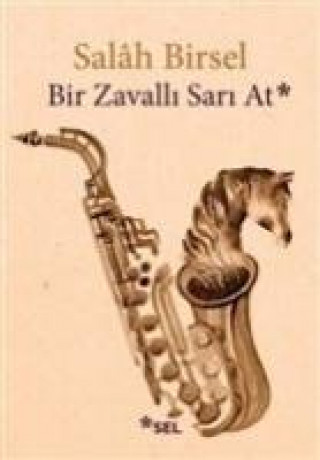 Livro Bir Zavalli Sari At Salah Birsel