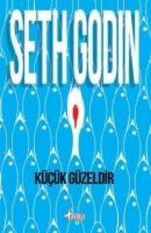 Book Kücük Güzeldir Seth Godin