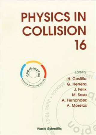 Book Physics in Collision: Proceedings of the XVI International Conference H. Castilla