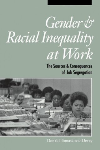 Könyv Gender and Racial Inequality at Work: Creating International Environmental Regimes Donald Tomaskovic-Devey