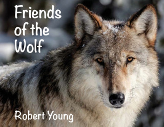 Kniha Friends of the Wolf Robert Young
