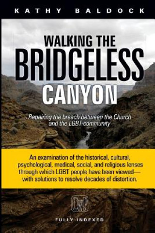 Kniha Walking the Bridgeless Canyon Kathy Baldock