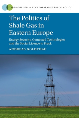 Könyv Politics of Shale Gas in Eastern Europe Goldthau