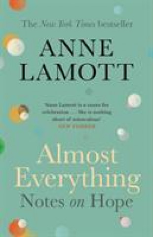 Könyv Almost Everything Anne Lamott