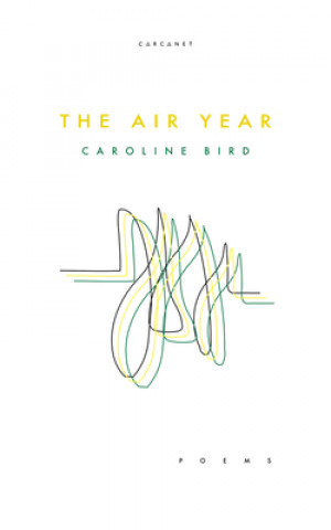 Kniha Air Year Caroline Bird