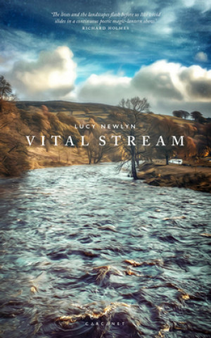 Buch Vital Stream Lucy Newlyn