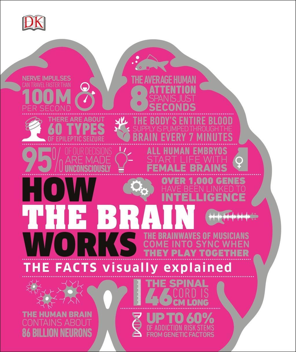 Kniha How the Brain Works DK