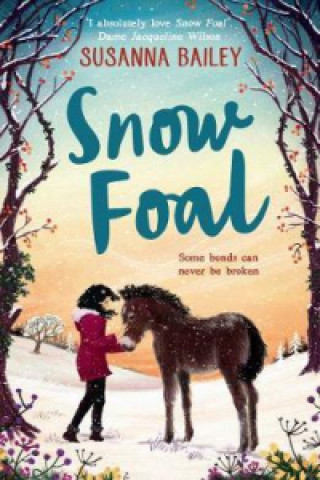 Kniha Snow Foal Susanna Bailey