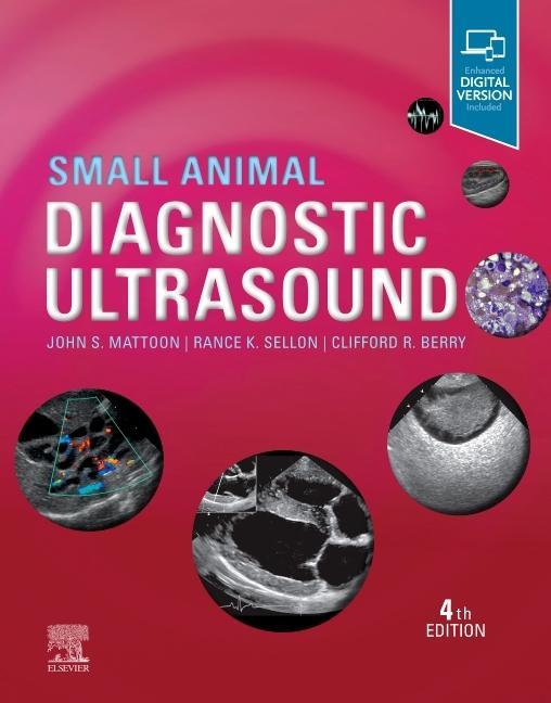 Книга Small Animal Diagnostic Ultrasound John S. Mattoon