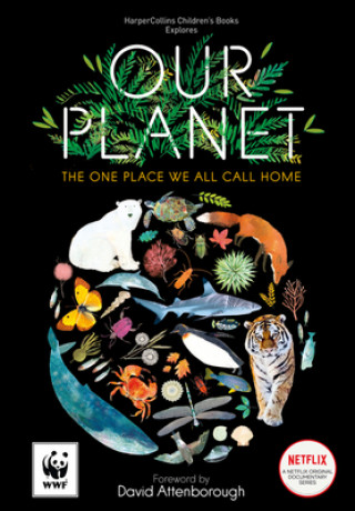 Könyv Our Planet Matt Whyman