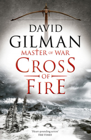 Kniha Cross of Fire David Gilman