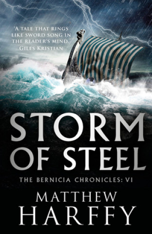 Kniha Storm of Steel Matthew Harffy