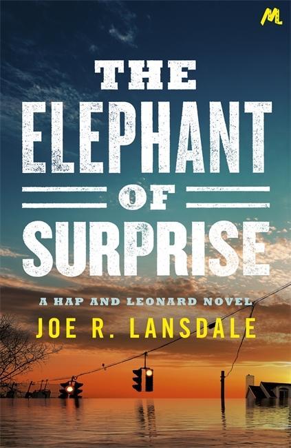 Carte Elephant of Surprise Joe R. Lansdale