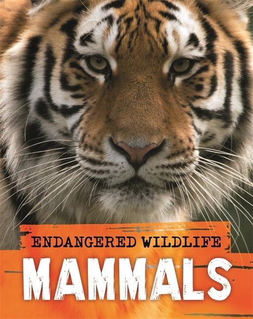 Carte Endangered Wildlife: Rescuing Mammals Anita Ganeri