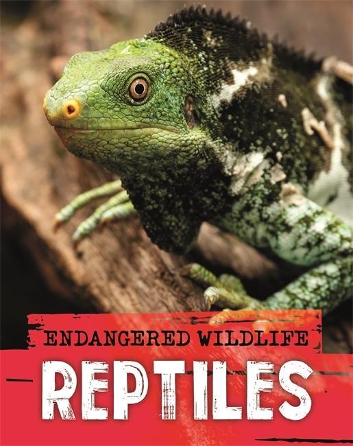 Boek Endangered Wildlife: Rescuing Reptiles Anita Ganeri