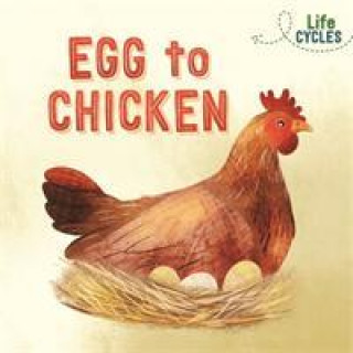 Könyv Life Cycles: Egg to Chicken Rachel Tonkin