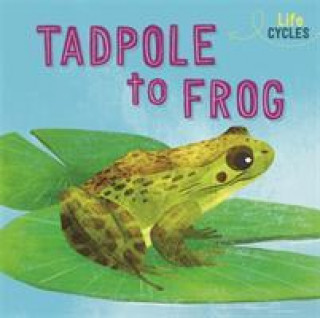 Książka Life Cycles: From Tadpole to Frog Rachel Tonkin