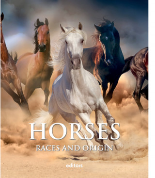 Kniha Horses David Dalmau