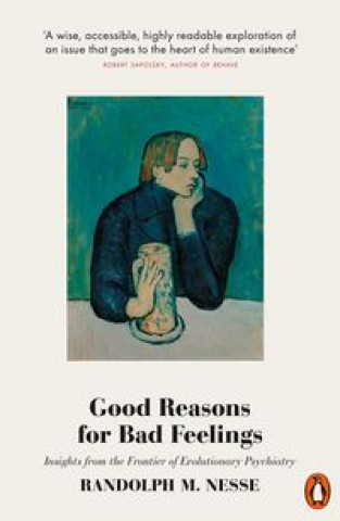 Könyv Good Reasons for Bad Feelings Randolph M. Nesse