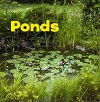 Carte Ponds Erika L. Shores