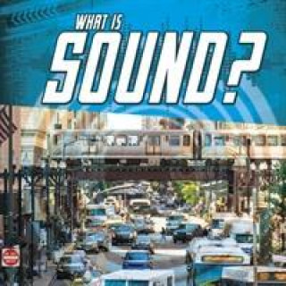 Knjiga What Is Sound? Jody S. Rake
