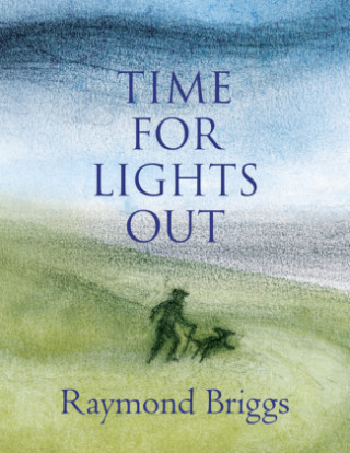 Könyv Time For Lights Out Raymond Briggs