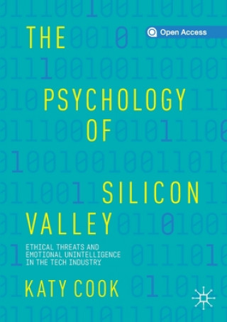 Kniha Psychology of Silicon Valley Katy Cook