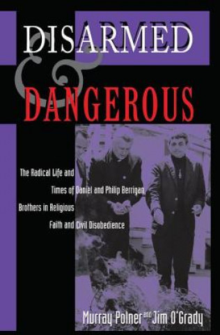 Buch Disarmed and Dangerous MURRAY POLNER