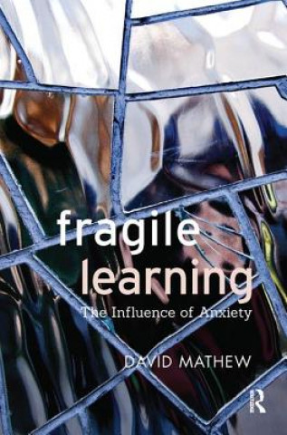 Kniha Fragile Learning DAVID MATHEW