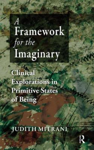 Knjiga Framework for the Imaginary JUDITH L. MITRANI