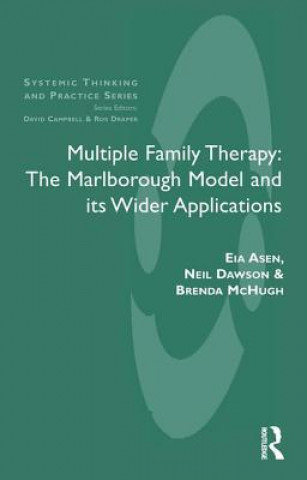 Kniha Multiple Family Therapy EIA ASEN