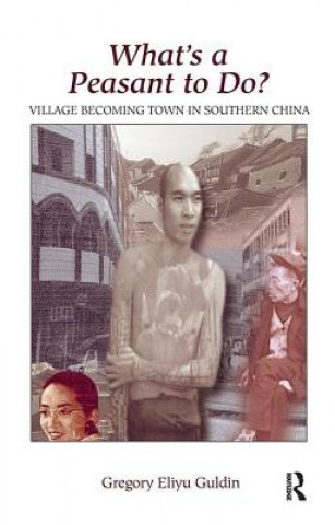 Könyv What's A Peasant To Do? Village Becoming Town In Southern China GREG GULDIN