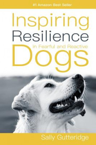 Kniha Inspiring Resilience in Fearful and Reactive Dogs Dayle Smith