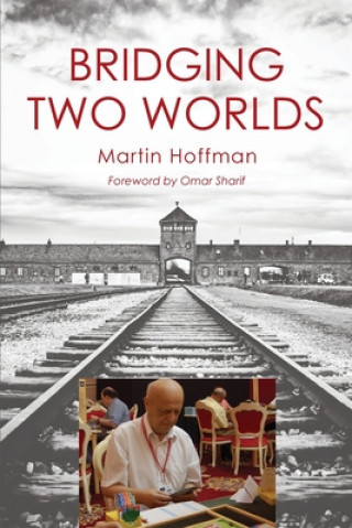 Book Bridging Two Worlds Martin Hoffman