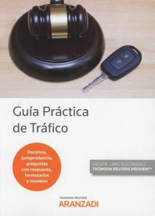 Könyv GUÍA PRÁCTICA DE TRÁFICO (DÚO) 