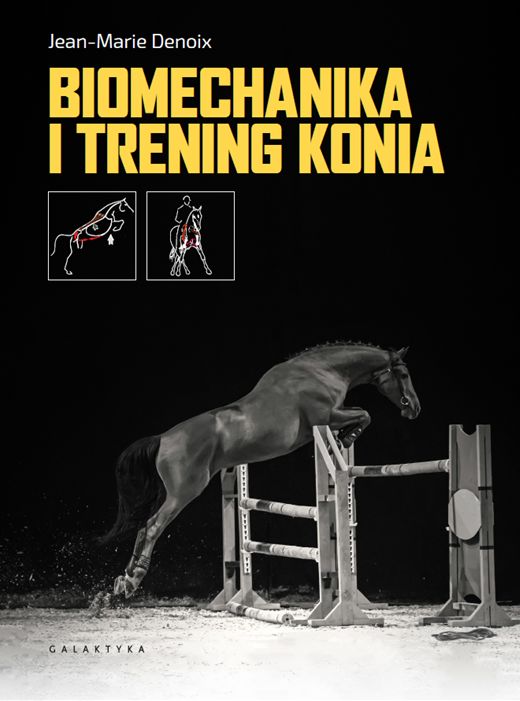 Książka Biomechanika i trening konia Denoix Jean-Marie