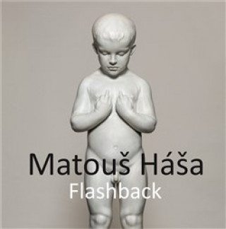 Könyv Flashback Matouš Háša