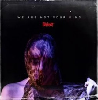 Kniha We Are Not Your Kind Slipknot