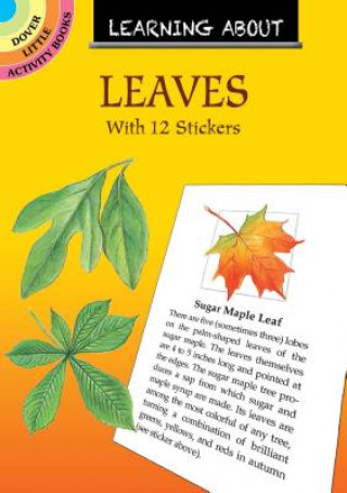 Kniha Learning About Leaves Dot Barlowe