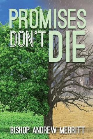 Könyv Promises Don't Die Andrew Merritt