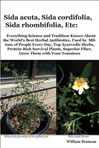 Book Sida acuta, Sida cordifolia, Sida rhombifolia, Etc.: Everything Science and Tradition Knows about the World's Best Herbal Antibiotics, Used by Million William L Bruneau