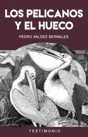 Libro Los Pelicanos Y El Hueco: Violaciones de Los Derechos Humanos Durante La Guerra Interna En El Perú Pedro Valdez