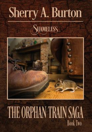 Buch Shameless Sherry A Burton