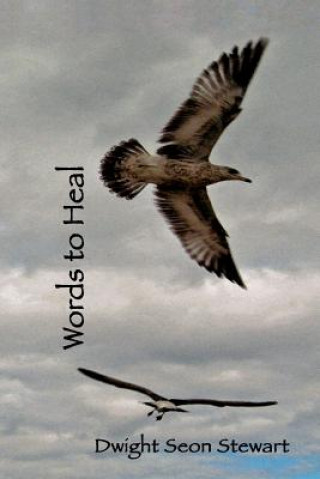 Boek Words to Heal Dwight Seon Stewart